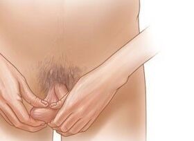 Projection exercises to increase the penis